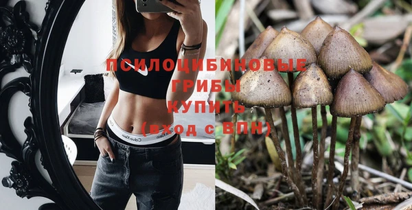 трава Алзамай