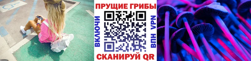 что такое   Дудинка  Псилоцибиновые грибы прущие грибы 